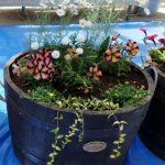 11コンテナ　温室前